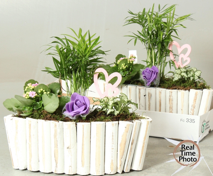 <h4>ARR KAMERPL</h4>