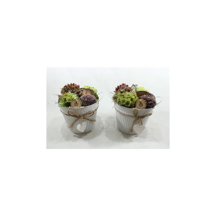 <h4>1381 ZINK POT HART SEMP</h4>
