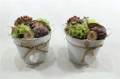 <h4>1381 ZINK POT HART SEMP</h4>