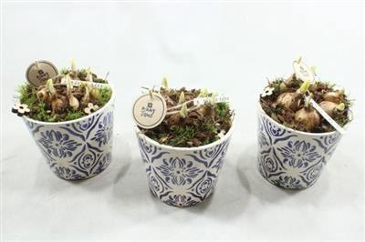 <h4>5863 KER BLAUW-WIT</h4>