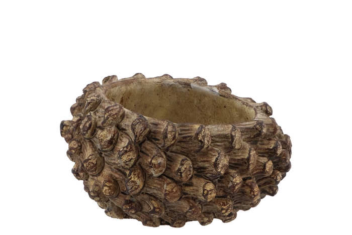 Concrete Pinecone Brown Round 16x13x10cm Nm