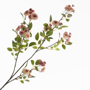 Rosa Mini Spray Cream Pink FL440294CPK