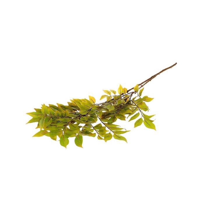 <h4>Branch Sambucus Leaf L110</h4>