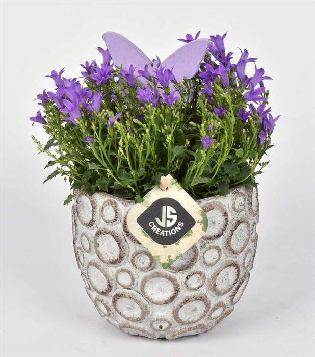 <h4>Cement pot met motief 13cm</h4>