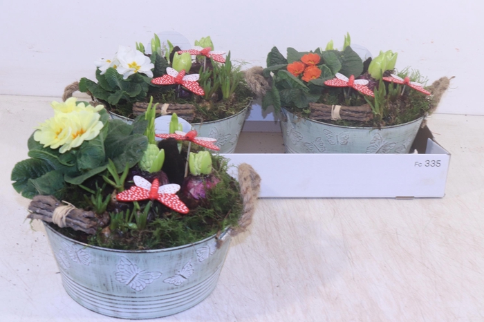 <h4>ARR TUINPLANTEN</h4>