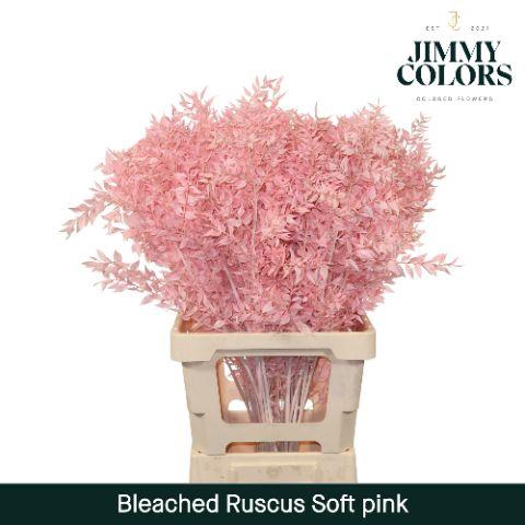 <h4>Ruscus Bleached Italy L70 Soft Pink</h4>
