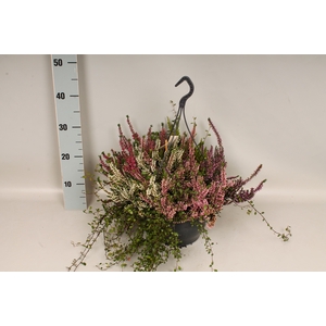 Heidemix Hangpot 23cm