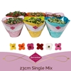 Kalanchoe Bl Gem Kar gemengd K23sc0100 Schaal enkel mix
