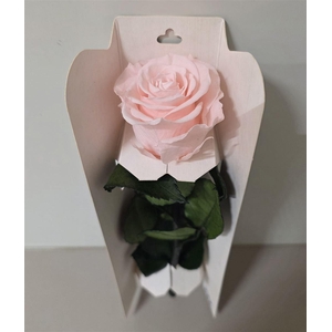 Ro Pres Stem 30cm Rosewood