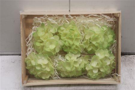 <h4>Wax Hydrangea Creme\groen</h4>