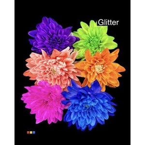 Chr T Baltica Mix 6 Colors + Glit Bio