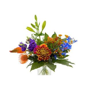 BQ Field Autumn Jacky