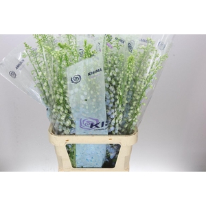 Delph El Fountain Sky Blue