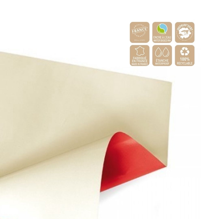 <h4>Cellophane Sheet Duo Mat 70*70cm</h4>