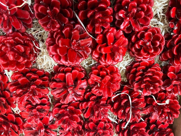 <h4>Denneapp G Op St H</h4>