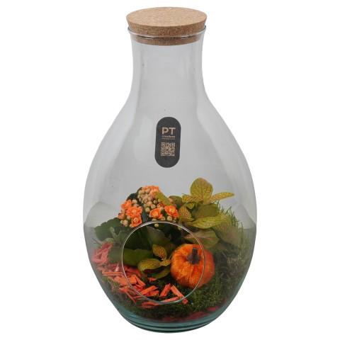<h4>PTHG8251 Arrangement Autumn Glass in glazen fles</h4>