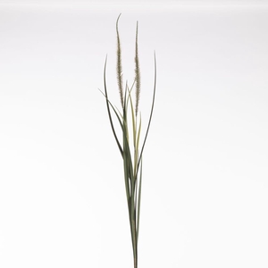 AF Pennis x2 122cm Green/Red