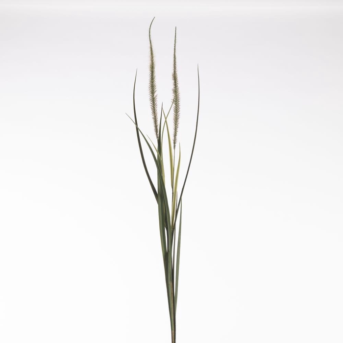 <h4>AF Pennis x2 122cm Green/Red</h4>