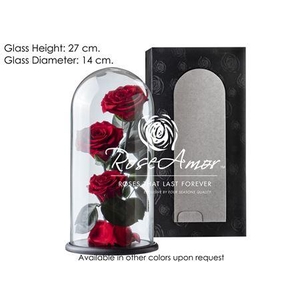 Dome Valentina Red01 Bulk