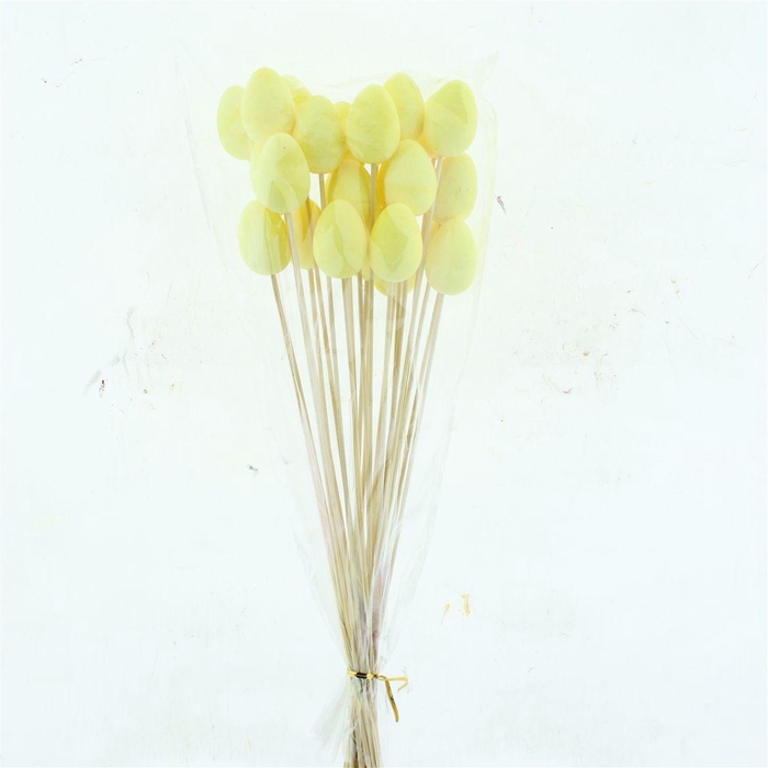 <h4>Easter Egg Yellow Flock Per Stem</h4>