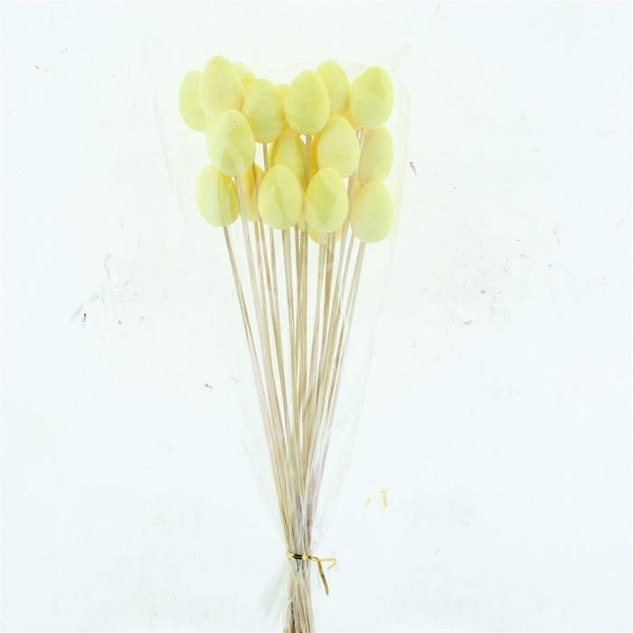 <h4>Easter Egg Yellow Flock Per Stem</h4>