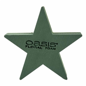 Oasis Bioline Star 30x30cm
