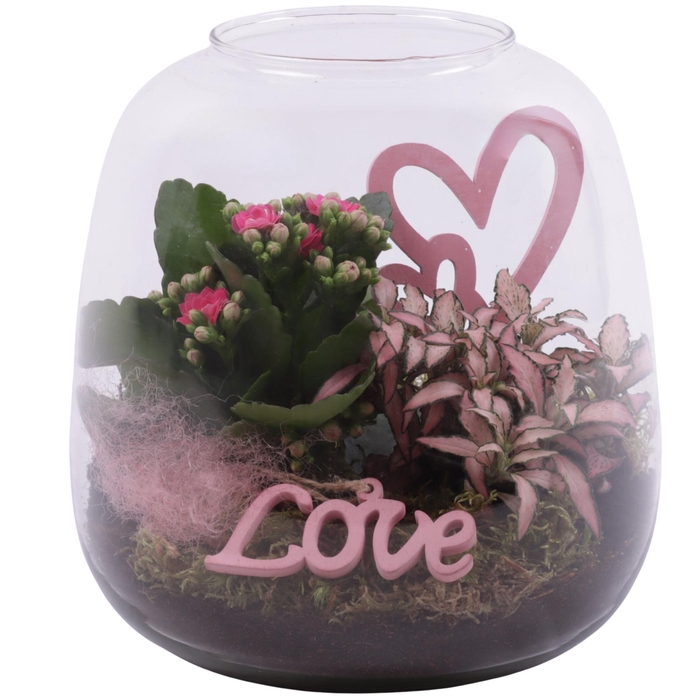 <h4>Mothersday Arr. Indoor Glass Vase Terrarium Round Ø19cm 2PP</h4>
