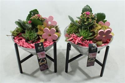 <h4>1424 Roze Glas Op Pootje</h4>