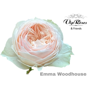 R Gr Emma Woodhouse