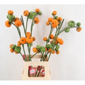 AF Capsicum spray x4 L88cm or