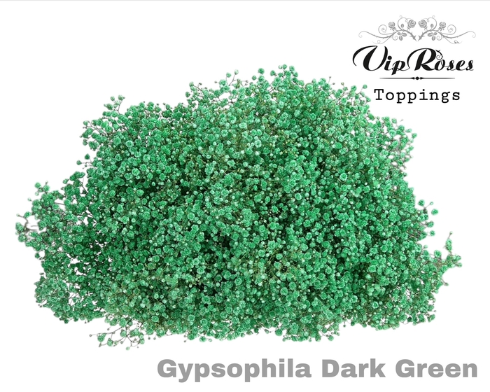 GYPS PA DARK GREEN