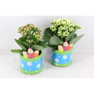arr2 JS - Ker. pot pencil - roze/wit