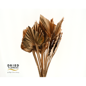 Dried Palm Spear Small Copper