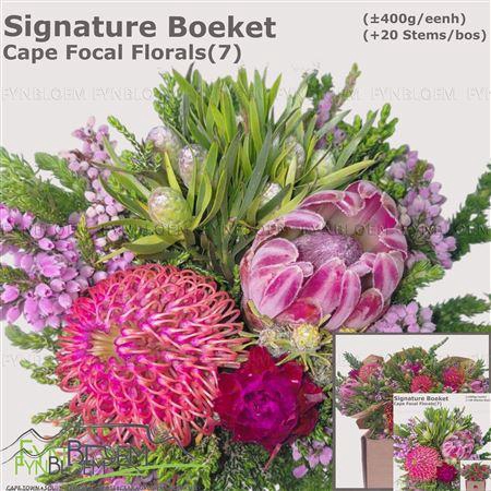 <h4>Protea Per Bos</h4>