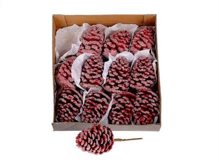 <h4>Pinecone Wax Sugared L6w6h9d6</h4>