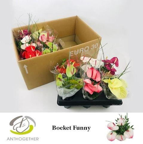 <h4>Boeket Funny 5 bloem in watertray 12</h4>