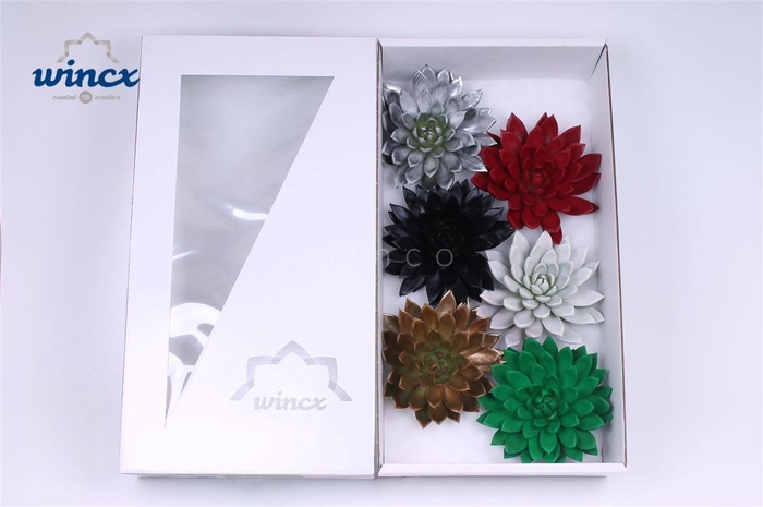 <h4>Echeveria Paint Christmas Mix (wincx) Cutfl</h4>