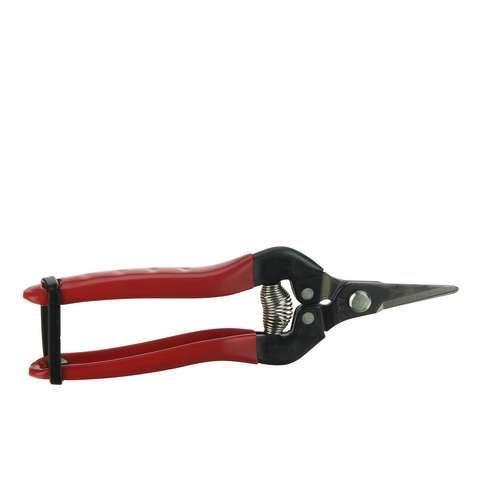 <h4>Fruitschaar korte bek 5x17x1cm rood</h4>