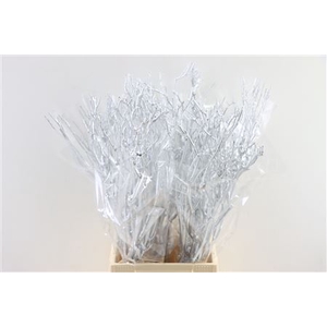 Bundle Tea Branch Silver 65cm