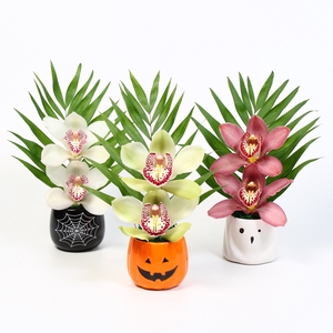 CYMB VERPAKT P BLOEM 1025