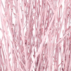 Birch 60cm Pink Misty