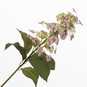 Hydrangea Butterfly Light Pink FL440372LPK