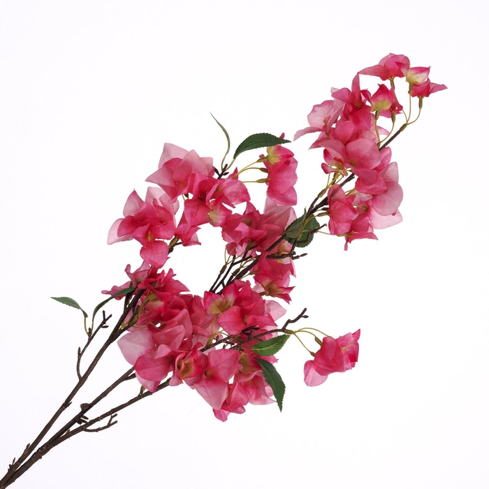 <h4>Bougainvillea Spray Pink Dark FL440279DPK</h4>