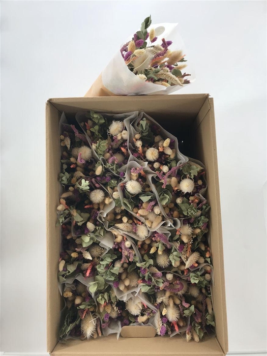 <h4>Dr Bqt Dried Light Milka</h4>