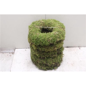 Krans Moss 30cm