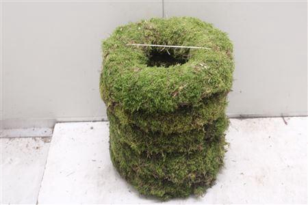 <h4>Krans Moss 30cm</h4>