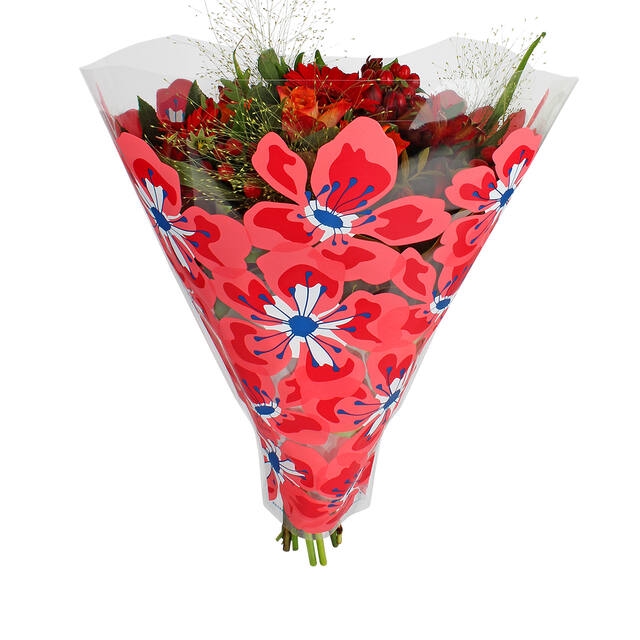 <h4>Sleeves 52x58x13cm OPP50 Floralia red</h4>