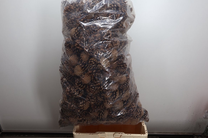 <h4>Deco Pinecone Oostenrijker Naturel 10kg</h4>