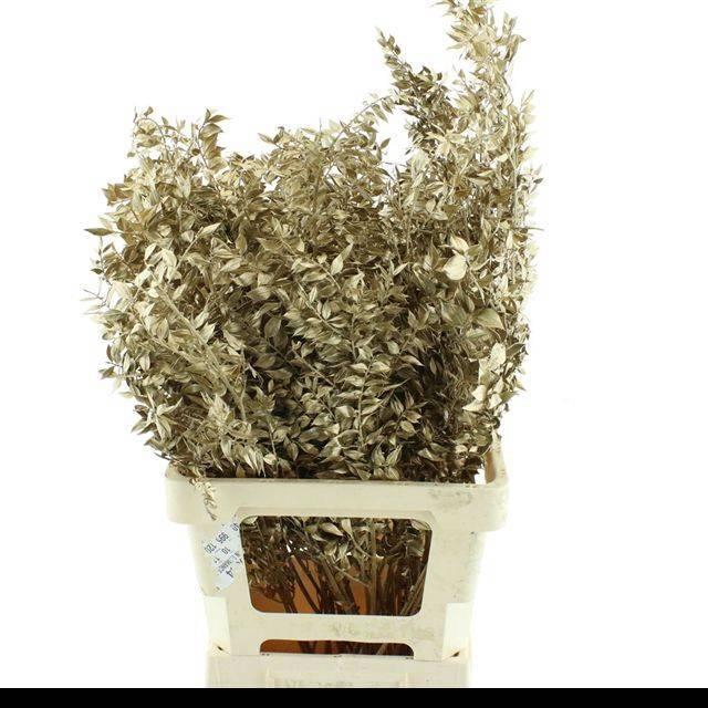 <h4>RUSCUS OV KLB H%</h4>