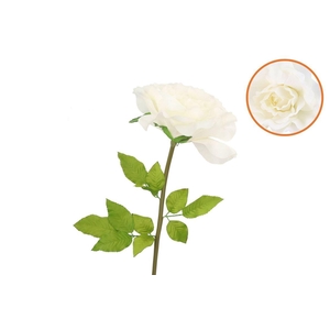 Silk Amazing Rose Beauty Cream Xxl 50x120cm